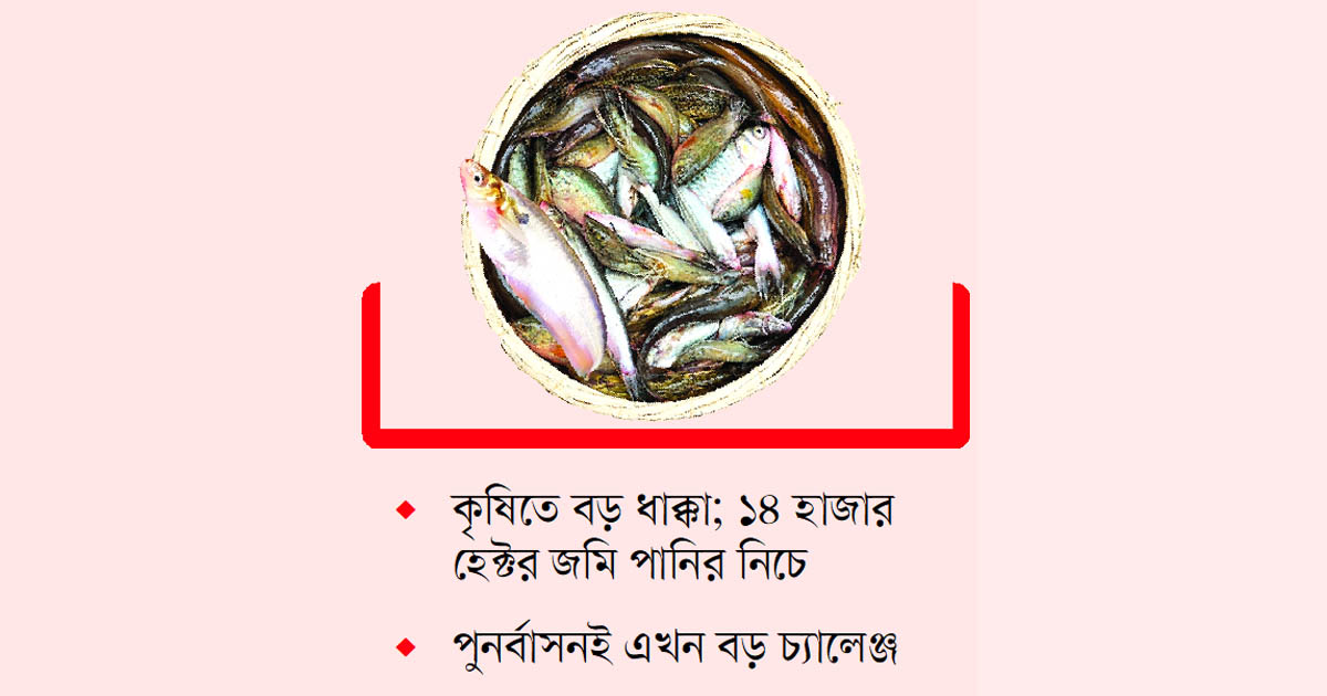 মৎস্য খাতে ৯১ কোটি টাকার বিপর্যয়