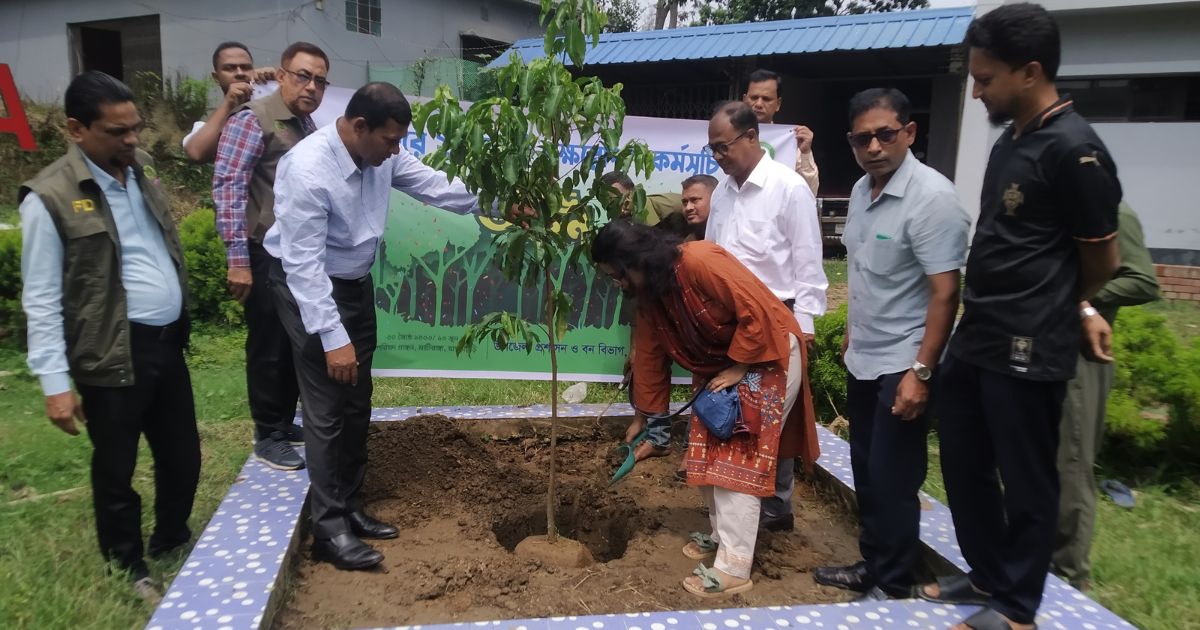 মাটিরাঙ্গায় বিনামূল্যে ১৪ হাজার চারা বিতরণ করবে বন বিভাগ