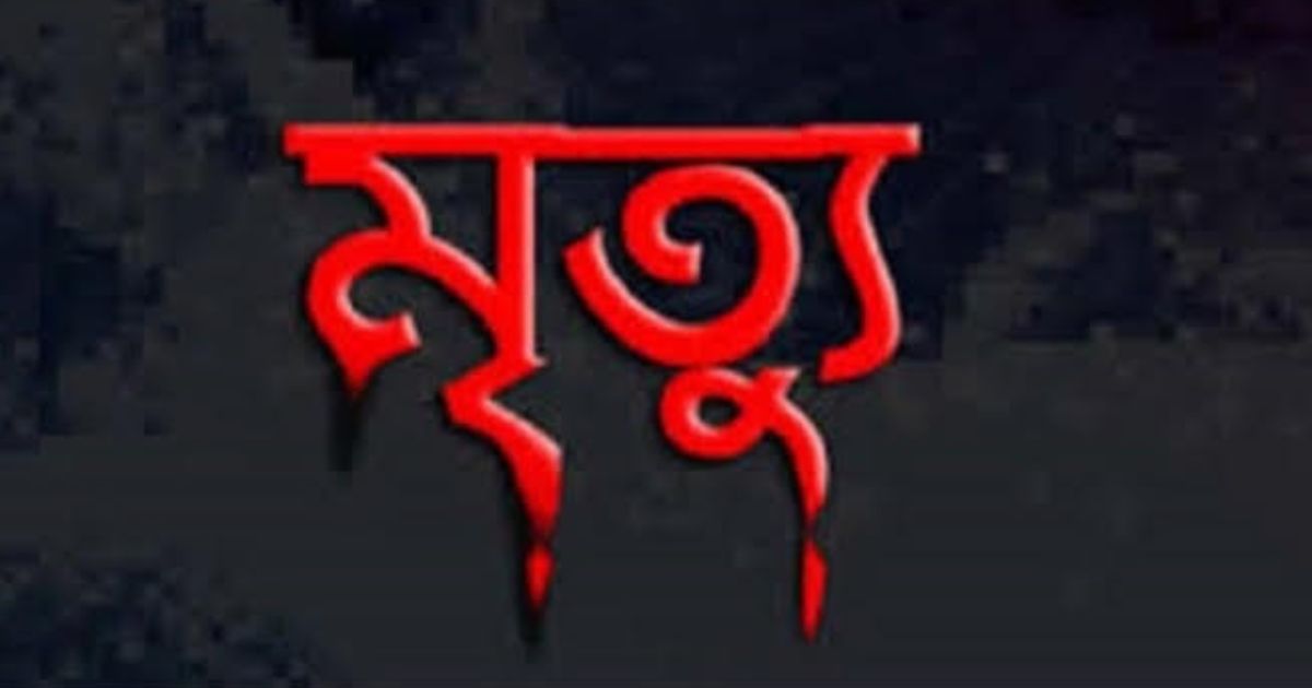 মীরসরাইয়ে ট্রাকের ধাক্কায় বৃদ্ধের মৃত্যু