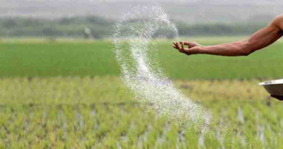 ৭০৪ কোটি টাকা ব্যয়ে ৮০ হাজার টন সার কিনবে সরকার