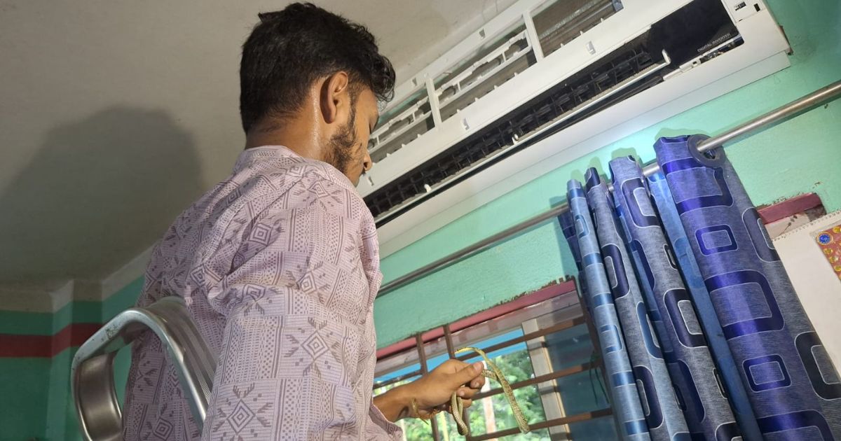 বাসার এসির ভেতরে মিললো দুই জোড়া কালনাগিনী সাপ