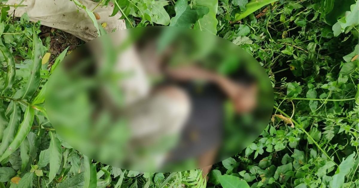 ঈশ্বরগঞ্জে সেতুর পাশ থেকে অজ্ঞাত ব্যক্তির মরদেহ উদ্ধার