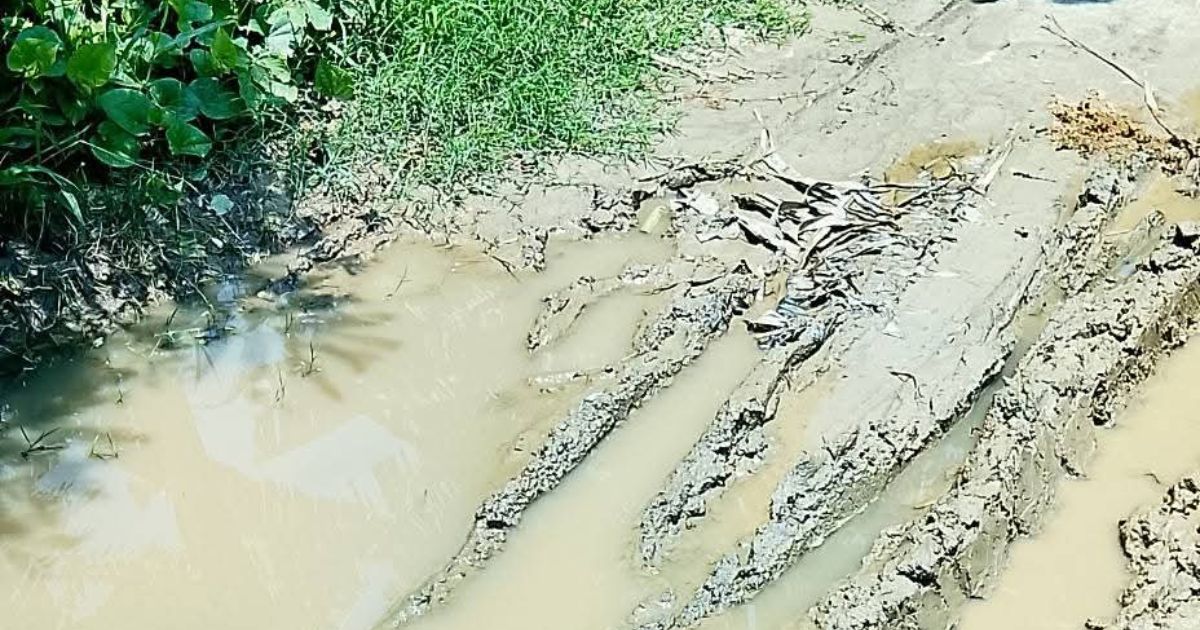 বালিয়াকান্দিতে বেহাল বাবুলতলা-চড়আড়কান্দি সড়ক, সংস্কারের আশ্বাস ইউএনওর