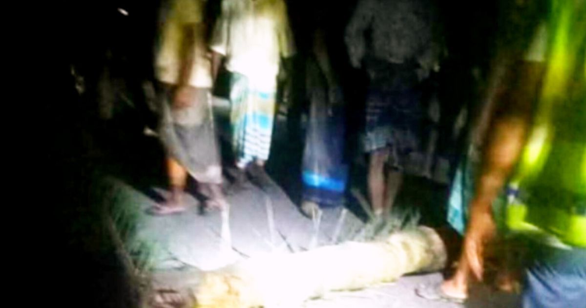 কোটচাঁদপুরে গভীর রাতে মুখোশধারী ডাকাতদের তাণ্ডব