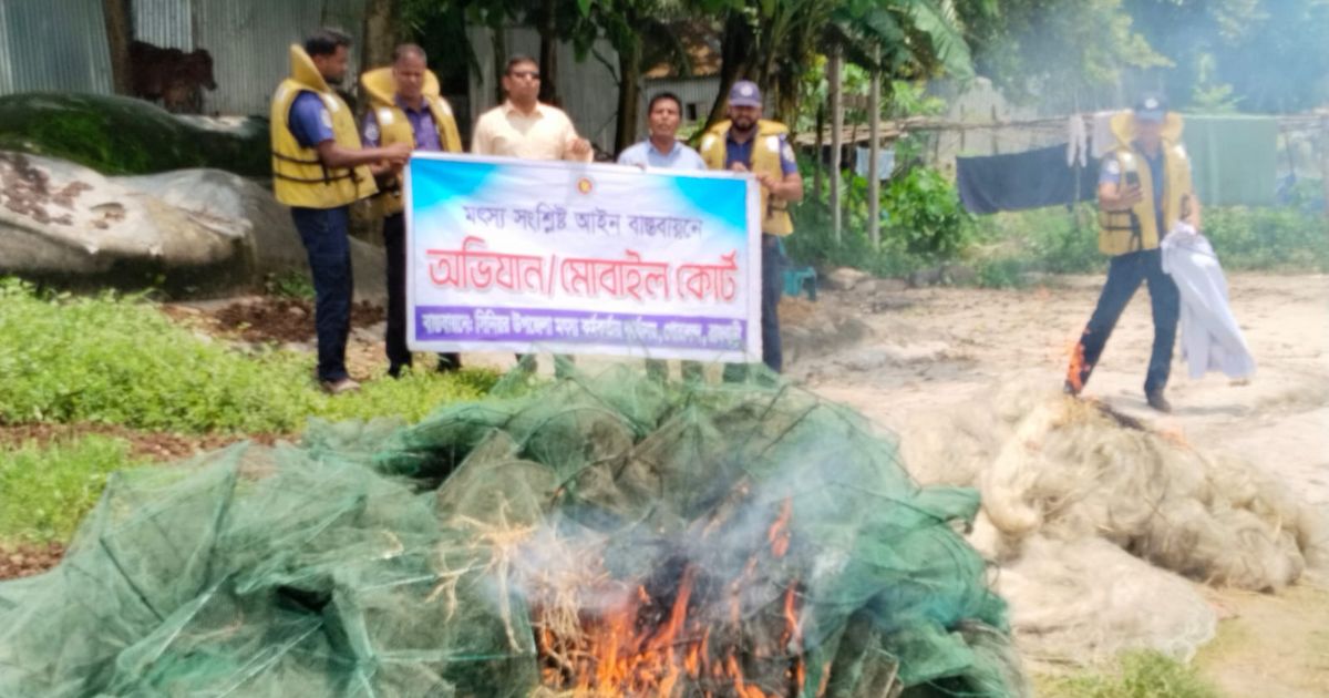 দৌলতদিয়ায় পদ্মা নদী থেকে অবৈধ জাল জব্দ, আগুনে পুড়িয়ে ধ্বংস