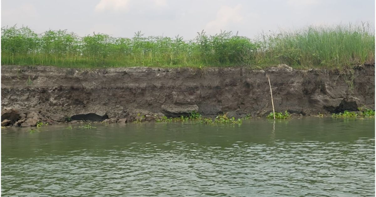 গোয়ালন্দে ফের পদ্মা নদীর ভাঙন শুরু, ঝুঁকিতে বসতবাড়ি ও ঘাট