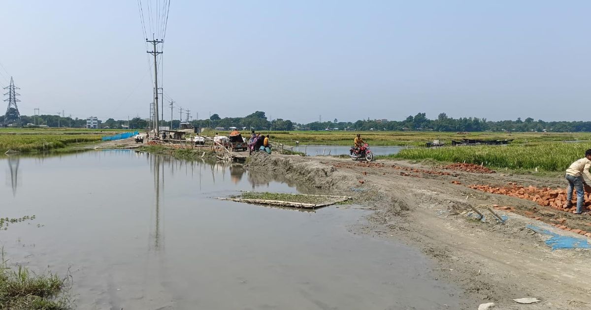 একটা ব্রিজই বদলে দিতে পারে কুষ্টিয়ার দৌলতপুরের চরাঞ্চল